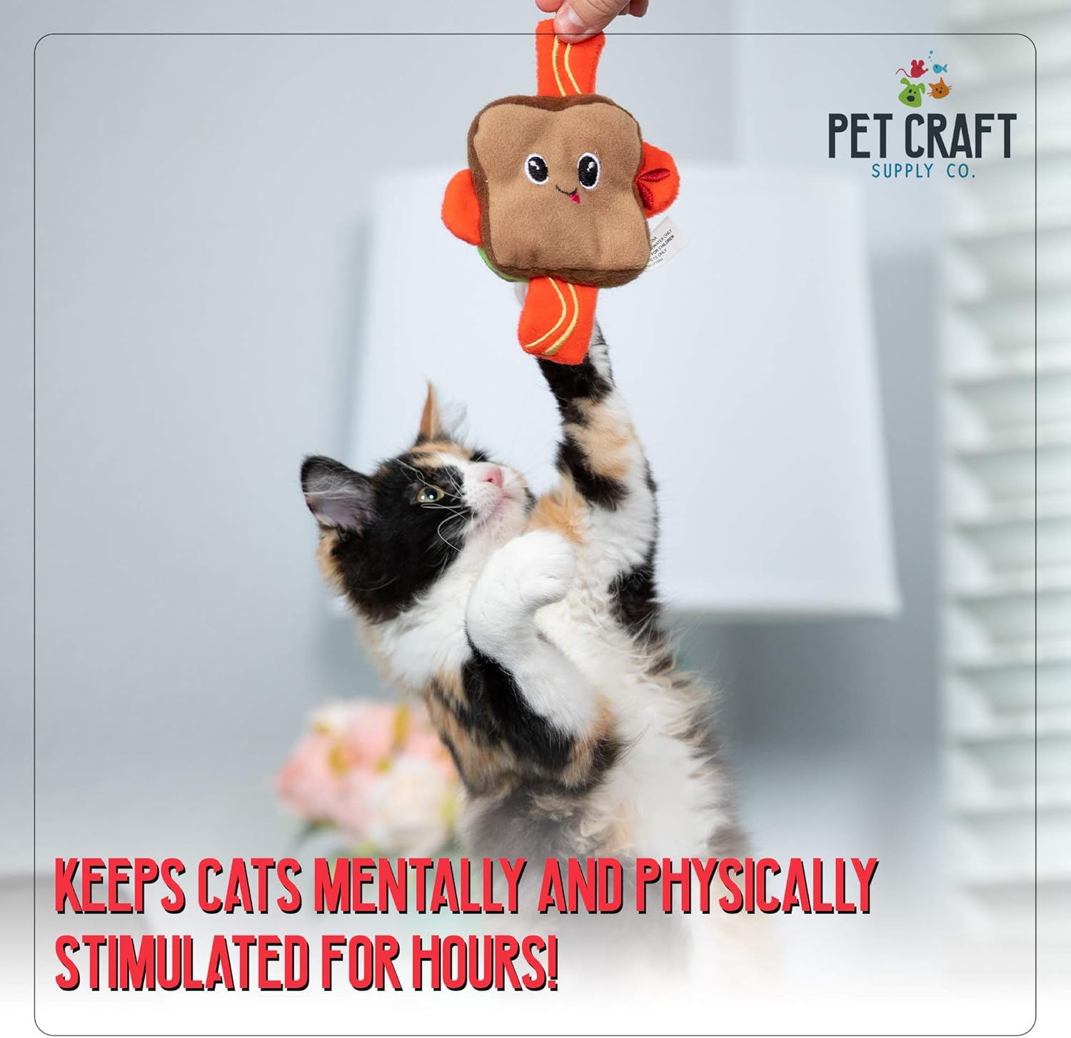 Pet Craft Supply Silly Snacks and Funny Food Crinkle Cuddling Catnip and Silvervine Toys - Interactive Cat Toys Alternative to Mice Fish Feathers Cat Toy : Pet Supplies
