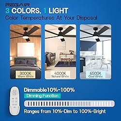 Ceiling Fan With Light 52-Inch, Remote Control