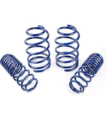 Amazon.com: ZX Purple Lowering Springs FR-S BRZ 1.75”F/1.25”R