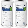 Pentair Pentek RFC-BB Big Blue Carbon Water Filter, 10-Inch, Whole House Heavy Duty Radial Flow Carbon Replacement Cartridge with Granular Activated Carbon (GAC) Filter, 10"x4.5", 25 Micron, Pack of 2