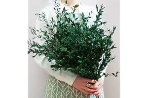 SAIPRO 20+ Small Branches Dried Eucalyptus Preserved Greenery Stems, 7-14 Pcs 17'' 4oz Natural Real Eucalyptus Bundles for Shower, Green Leaves Plant for Arrangement, Wedding, Home, Office Decor