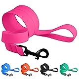 CollarDirect Waterproof Dog Leash Small Medium