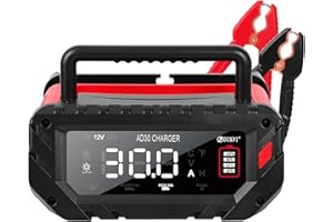DUKVI 30 Amp Lithium Battery Charger,6V/12V/24V Lifepo4,Lead-Acid(AGM/Gel/SLA) Smart Car Battery Charger,Fully Automatic Battery Maintainer, Trickle Charger, and Battery Desulfator