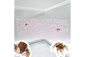 LUTQ 4 Pcs Jumping Spider Habitat Accessories - Jumping Spider Accessories with Magnet, Enhance Your Jumping Spider's Home with Functional and Stylish Spider Enclosure Décor, Pink