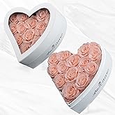 Amoueterno Flower, Forever Roses in A Box, Fresh Flowers, Birthday Gifts for Her, Women, Mom, Girlfriend, Wife, Grandma,Champagne Forever Roses