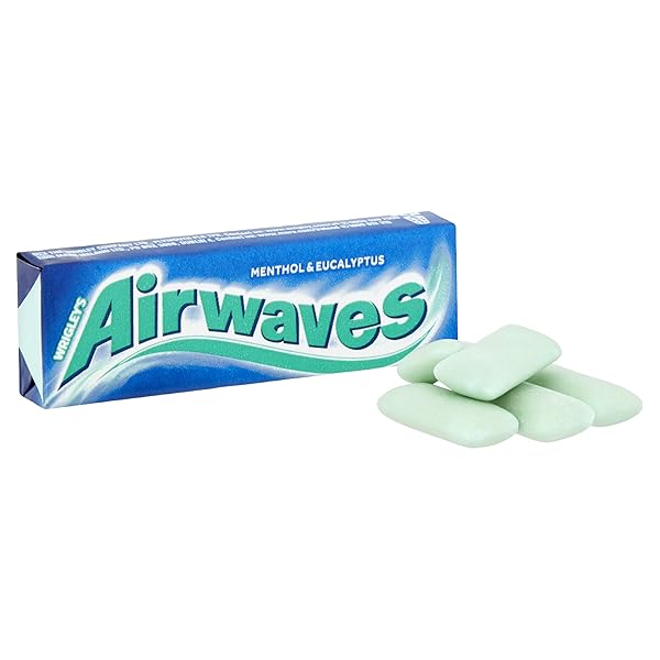 AIRWAVES MENTHOL & EUCALYPTUS SUGARFREE GUM 10 PELLETS – PACK OF 30