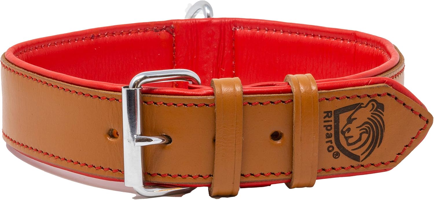 Riparo Genuine Leather Padded Dog Heavy Duty K9 Adjustable Collar