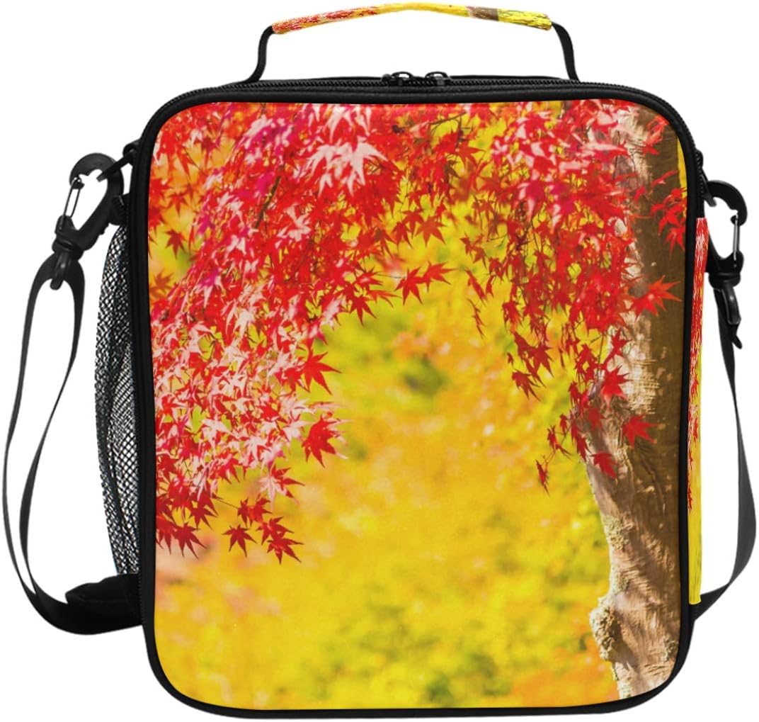 Best Luxury Work Backpack Leaf Literacy Basics