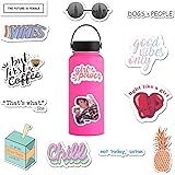 RipDesigns - 20 Feminist Stickers for Water Bottles, Laptops (Series 2)