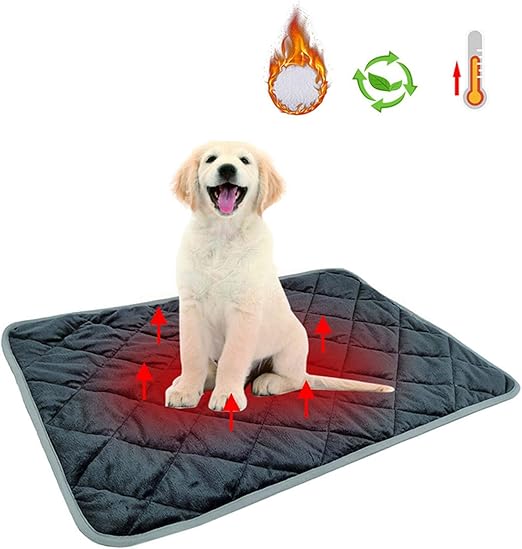self heating dog blanket