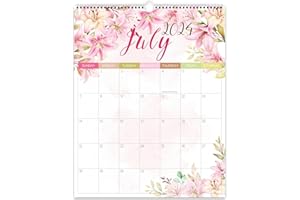 Guasslee Wall Calendar 2024-25, 2024 Wall Calendar, 19-Month Academic Wall Calendar From 2024 Jun - 2025 Dec, 14" X 11.5" Monthly Planner With Corner Protectors, Thick Paper For Home School Office