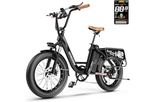 EUY Electric Bike for Adults with Peak 1500W Motor, 48V 20Ah Removable Battery Fast Ebike,Max 70Miles & 30MPH,20" x4.0 Fat Tire Commuting Electric Mountain Bike,7-Speed, Step-Thru Bicycle