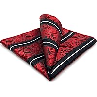 Amazon.com: SHLAX&WING Paisley Blue Burgundy Red Pocket