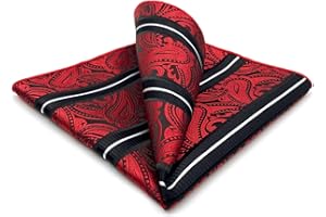 S&W SHLAX&WING Pocket Squares for Men Assorted Paisley Patterns for Suit Jackets Business Style XL