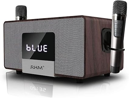 professional wireless speaker system