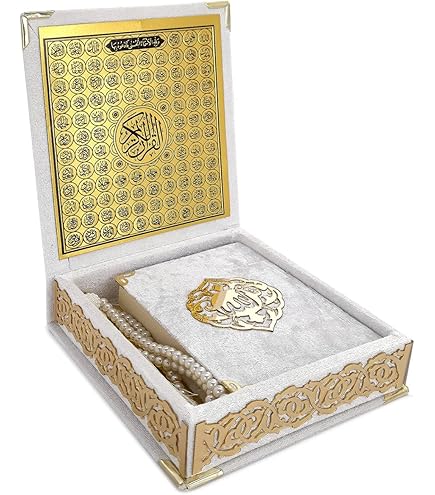 Quran　STONE  91ooh0Cju6L._AC_UF350,