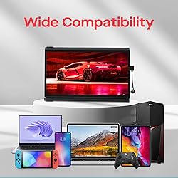 Portable Monitor - Mobile Pixels Duex Plus DS