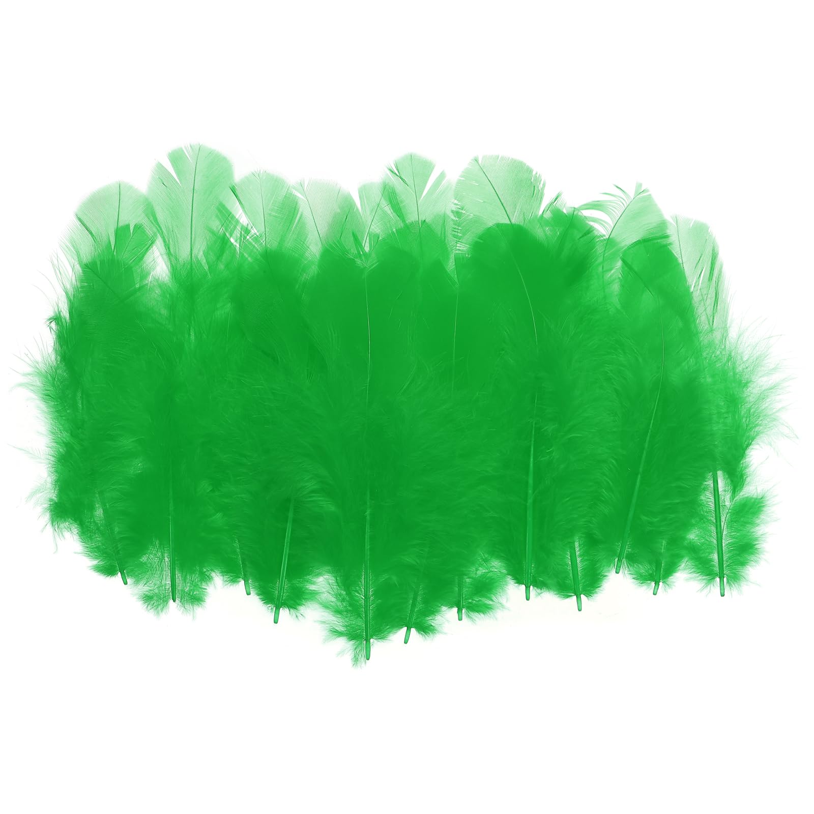 PATIKIL 1.5-3 Inch Saddle Hackle Rooster Feather, 300 Pcs Bulk Natural Feathers Fluffy Craft Feathers for Dream Catcher Earrings Pendant, Green