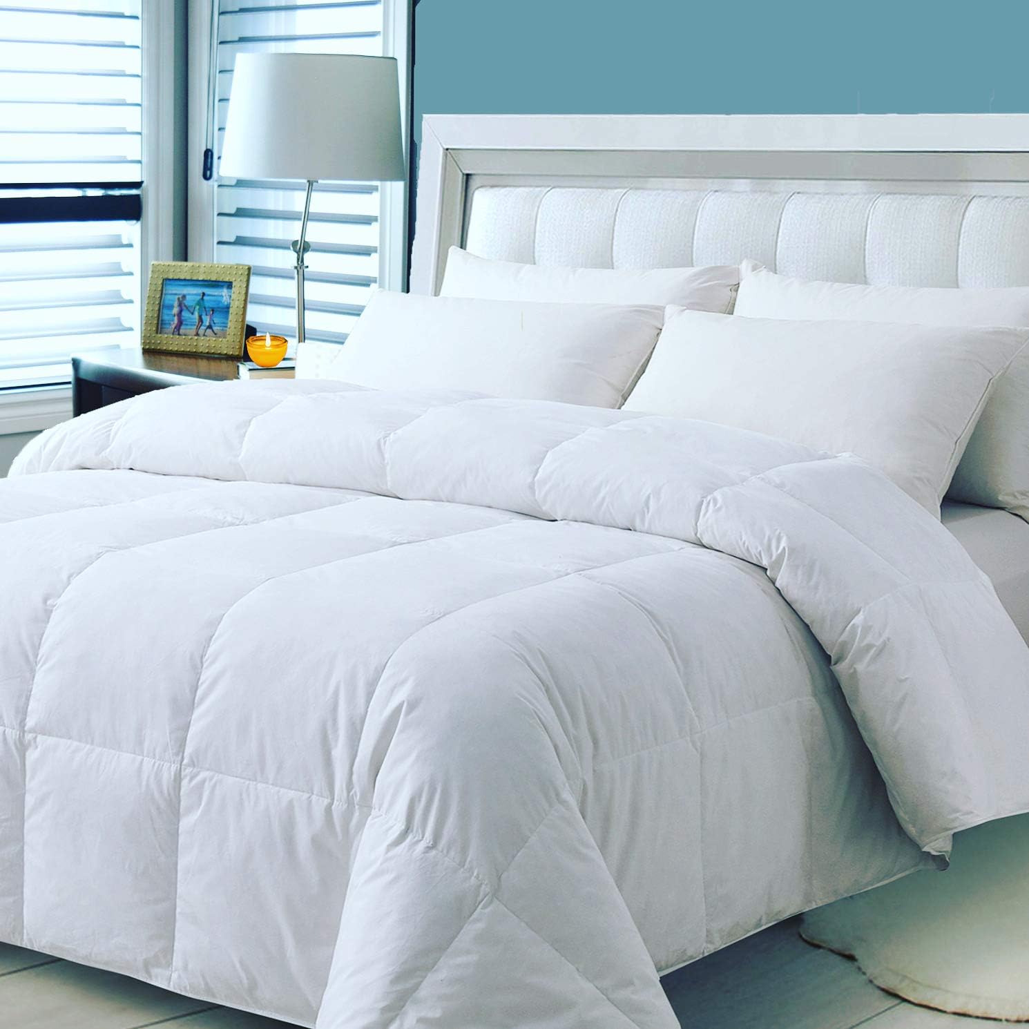 Amazon Com Elnido Queen White Goose Duck Down And Feather