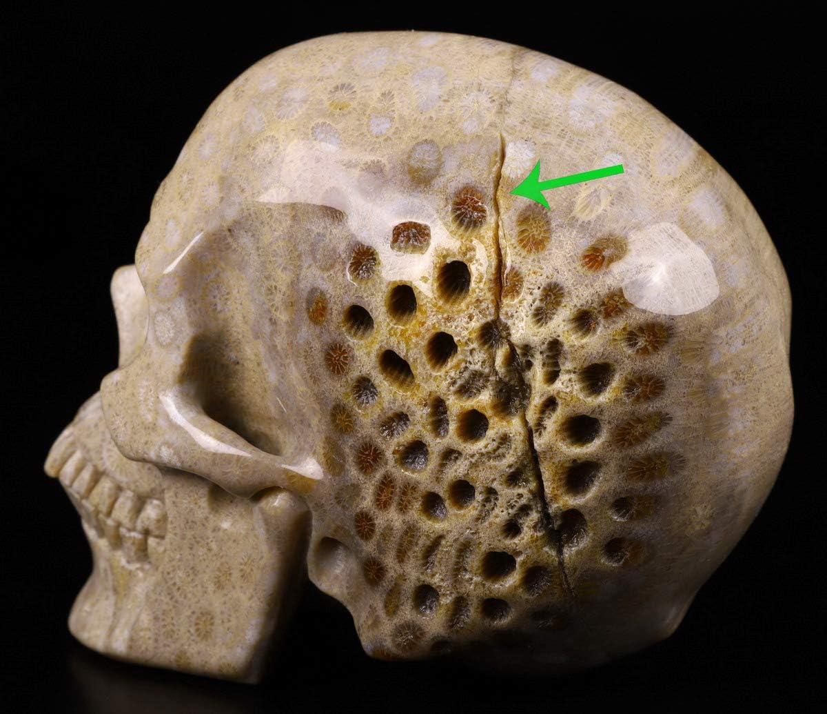 Collectables 3 9 Natural Dragon Blood Stone Eagle Hand Carved Crystal Skull Reiki Healing 1p Collectable Crystals Utit Vn