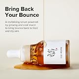 Beauty of Joseon Revive Serum Ginseng Snail Mucin 30ml Skin Treatment view 4