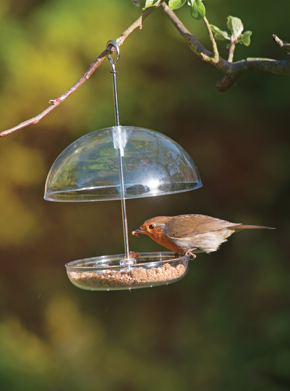 Birds Clear Hanging Bird Feeder attracts small garden birds Fill with