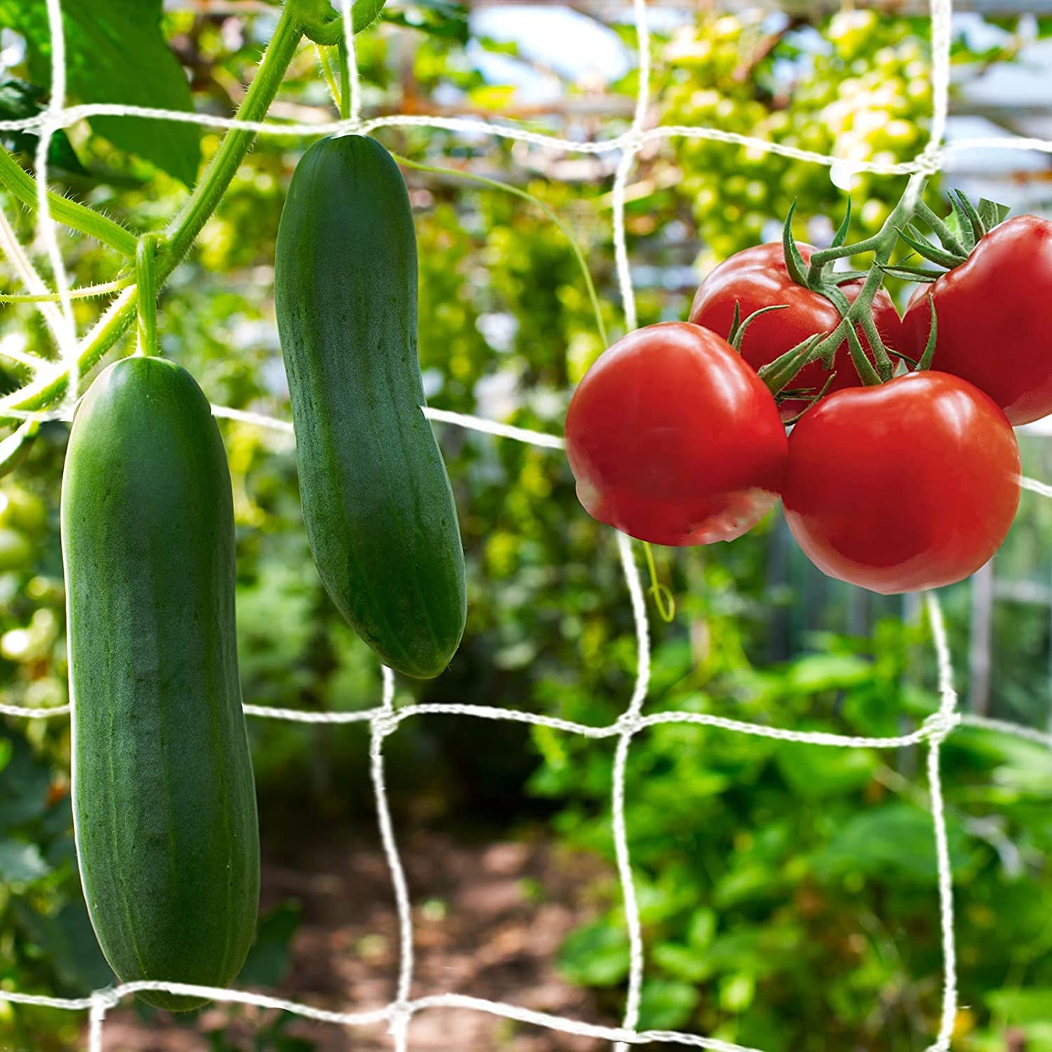 KINGLAKE Pea and Bean Netting, 5x30 Feet m White Garden Trellis Netting for Climbing Plant, Polyester Plant Support Net for Runner Bean, Sweet Pea, Climber, Vegetables, Flower, Fruits