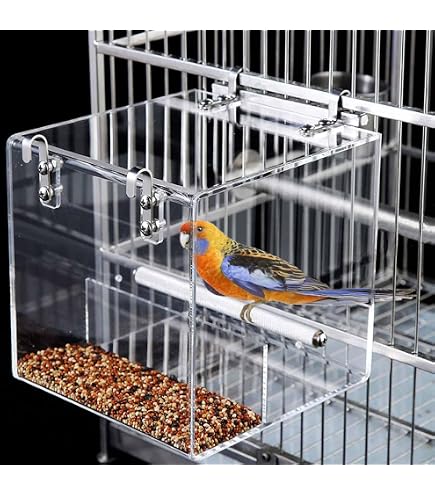 Bird Cage Seed Catcher Feeder With Wood Perch - No Spill Bowl For Conures, Caiques, Small Cockatoos