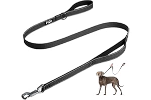 Fida 4 FT Heavy Duty Dog Leash with 2 Comfortable Padded Handles, Traffic Handle & Advanced Easy Snap Hook, Reflective Walking Lead for Large, Medium & Small Breed Dogs (4 FT x 1" Wide, Black)