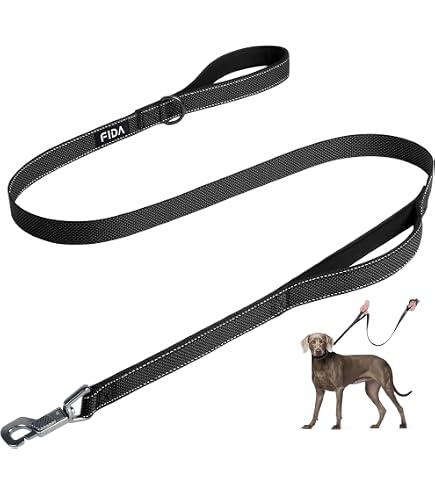 【新品】【送料込み】Omnipet 本革リード 6f Amazon.com : OmniPet Leather Brothers 6-Feet x 1-Inch Nylon Dog