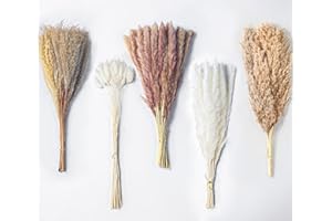 Bnecnet 110Pcs Dried Pampas Grass Decor - 17.5” Natural Pampas Grass Bouquet, Bunny Tails Dried Flowers & Reed Grass Bouquet for Wedding Boho Flowers Home Table Decor, Rustic Farmhouse Party