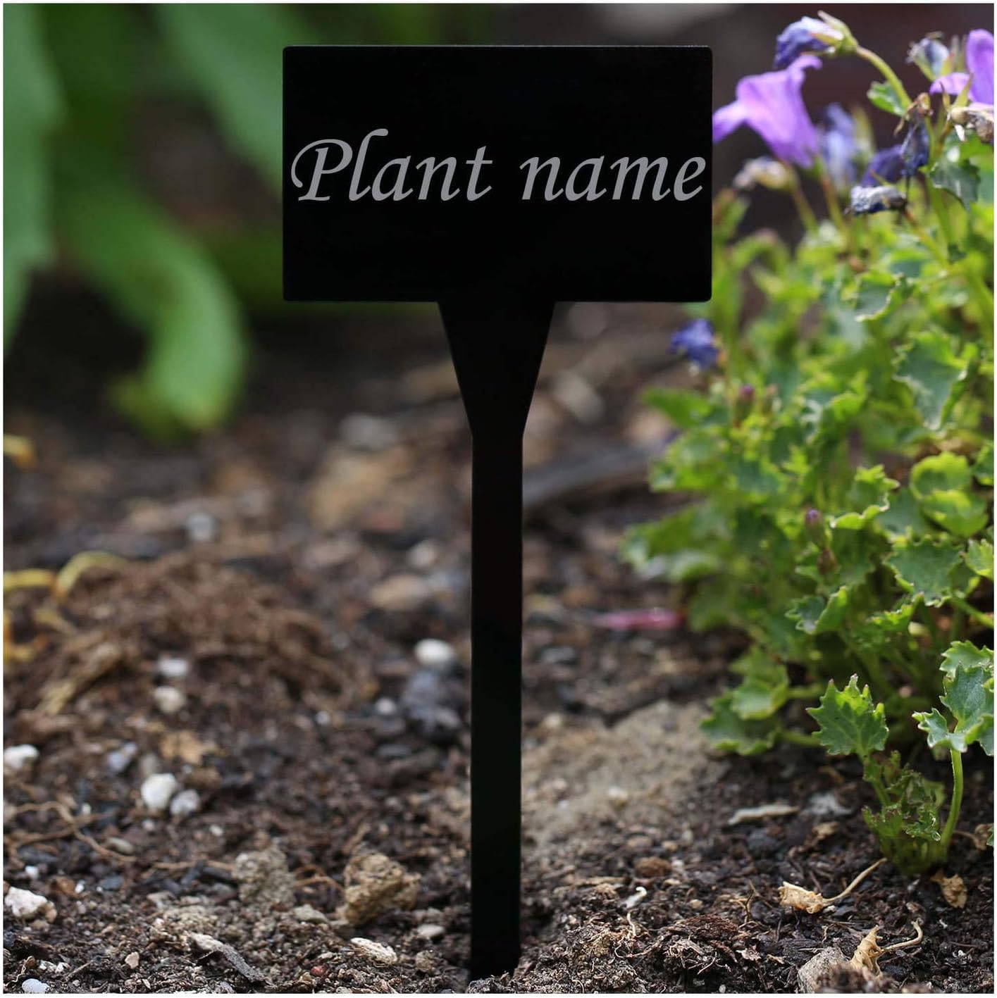 Acrylic Plant Signs Square Black – Weatherproof and elegante ...