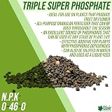 Elixir Gardens Triple Super Phosphate Fertiliser 0-46-0 For Fruit Veg Flowers view 2
