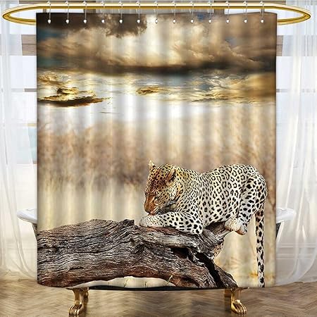 Shower Curtain With Hooks Resting Under Dramatic Cloudy Sky Africa