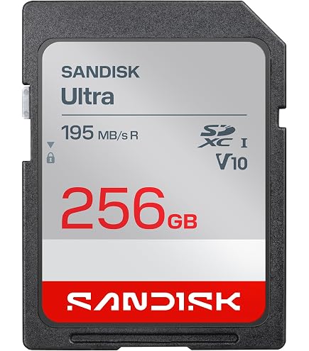 Amazon.com: SANDISK 256GB Ultra SDXC UHS-I Memory Card - 120MB/s 