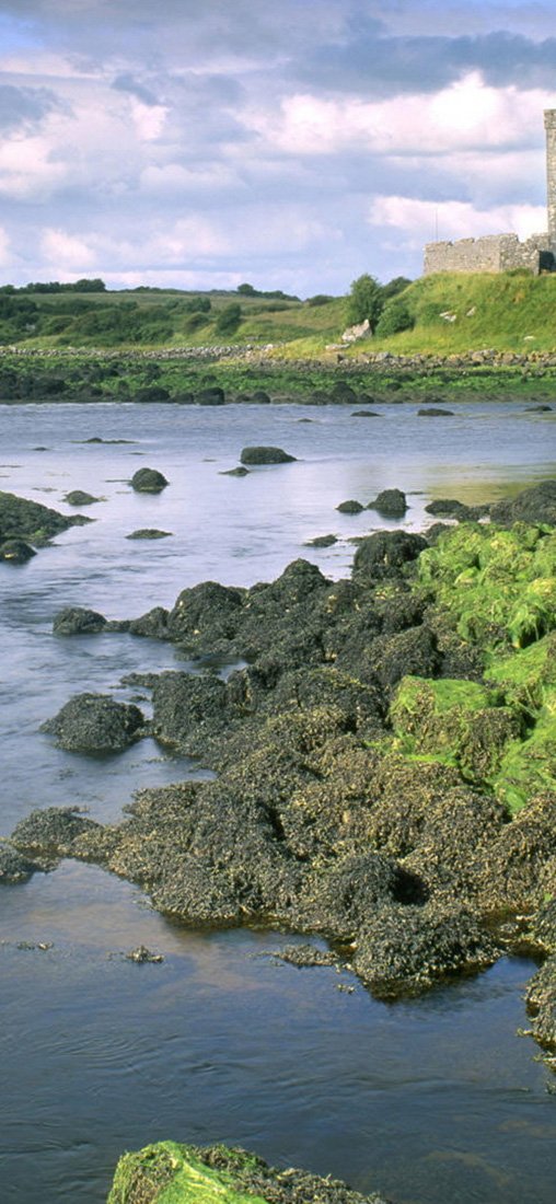 PeelitStickit, Beautiful Nature Wall Murals, ID-1337, vinyl