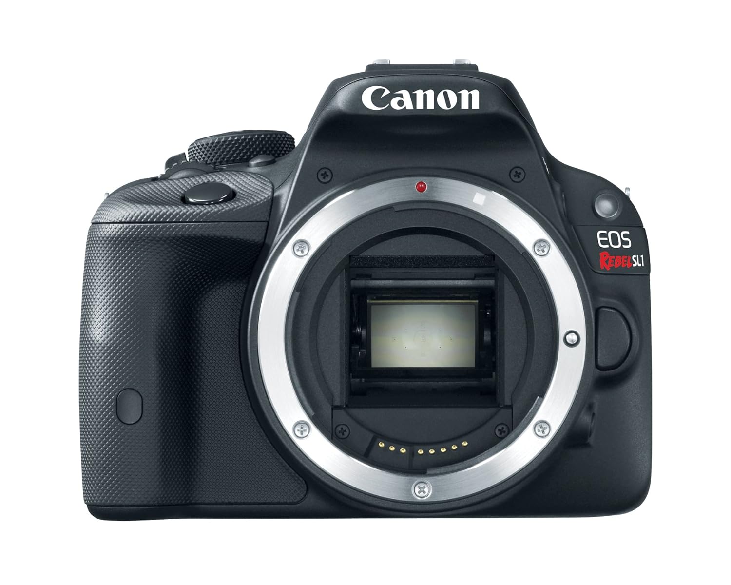 Amazon.com : Canon EOS Rebel SL1 Digital SLR Camera (Body Only) :