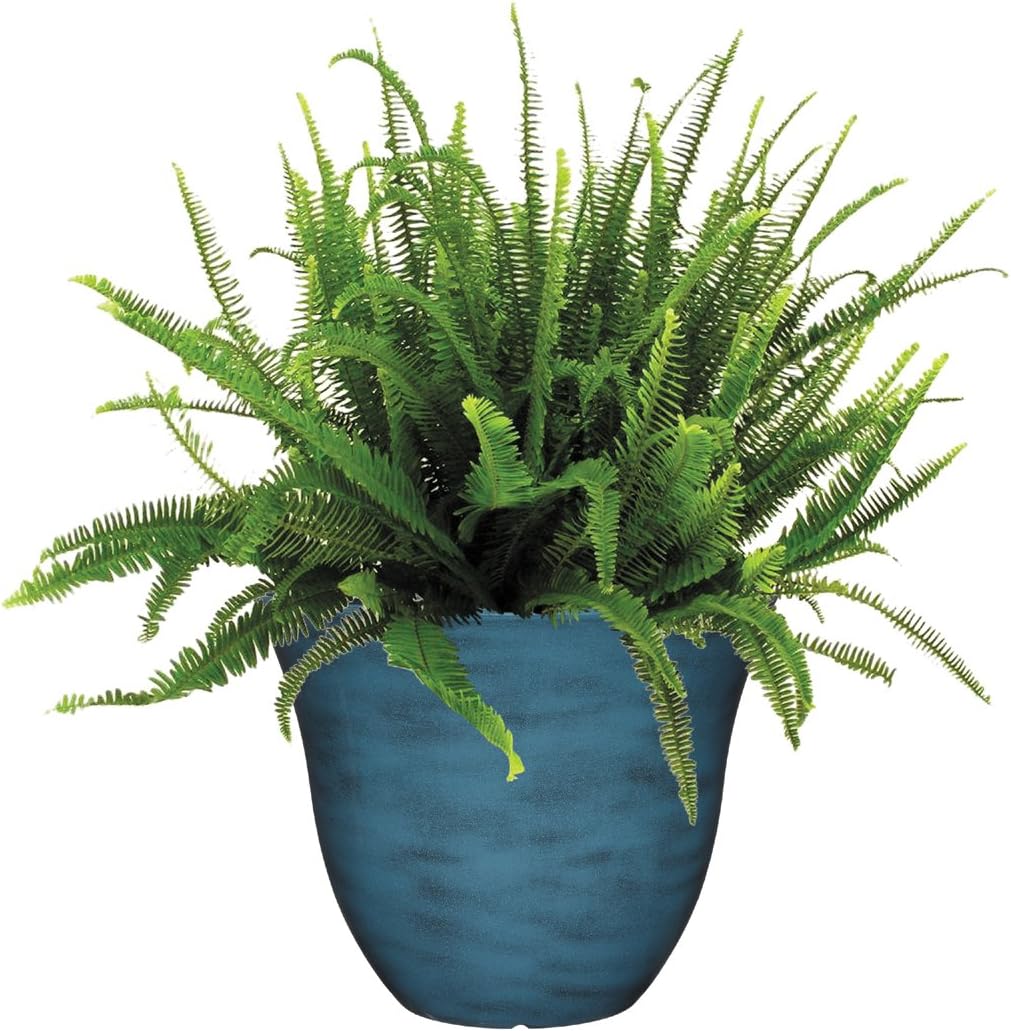 Classic Home and Garden Honeysuckle Planter, Patio Pot, 15" Blue Jean : Garden & Outdoor
