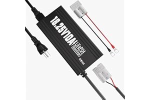 16V 10A Lithium Battery Charger 18.25V LiFePO4 Battery Charger AC-DC Smart Charger with Anderson Connector LED Indicator Spec