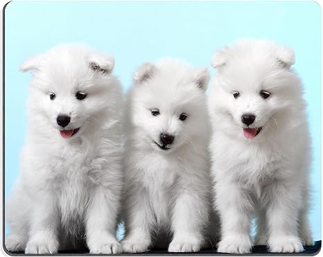 Msd Gaming Tapis De Souris En Caoutchouc Naturel Studio