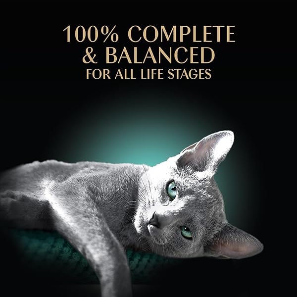 SHEBA PERFECT PORTIONS WET CAT FOOD PATE TENDER WHITE FISH AND TUNA ENTREE, 2.6 OZ. TWIN-PACK TRAY