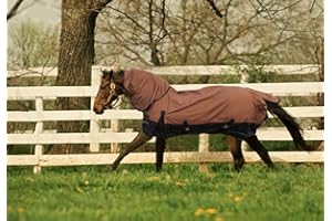 WPIC Turnout 1680D Horse Waterproof BLAKNET Winter Horse Blankets (003-Brown-Black, 78")