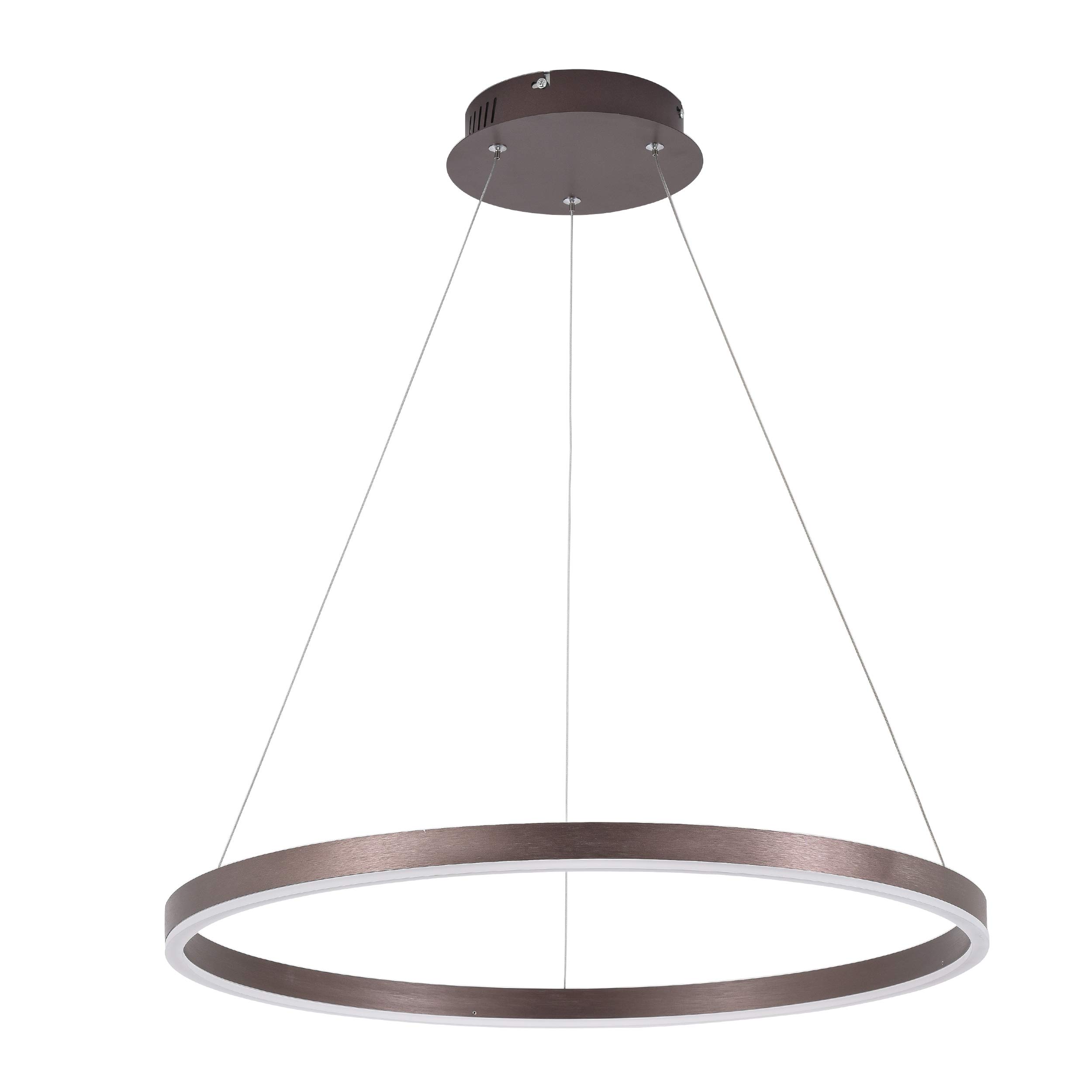 Diborui Ring Pendant Light Modern Round Shape Ceiling Light