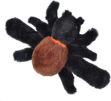Pet?spiter