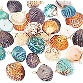 PH PandaHall 32pcs Natural Shell Pendants, 4 Colors Scallop Pendants Dyed Beach Seashells Charms Dyed Summer Sea Shell Charm Pendant Wrapped with Golden Copper Wire for Bracelets Jewelry DIY Crafts Making
