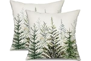 DFXSZ Christmas Pillow Covers 18x18 inch Set of 2 Watercolor Blue Green Christmas Tree Rustic Style Nature Forest Print Decorative Throw Pillows Winter Christmas Decor 32B