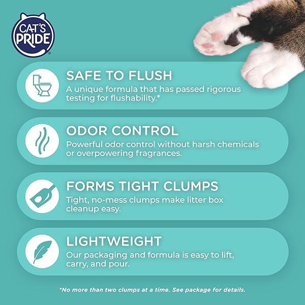 CAT’S PRIDE LIGHTWEIGHT CLUMPING LITTER: FLUSHABLE – POWERFUL ODOR CONTROL – SCENTED, 10 POUNDS
