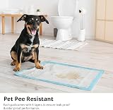 DOG n KITTY 200 Pack Puppy Pads Heavy Duty Absorbent 60x45 cm view 4