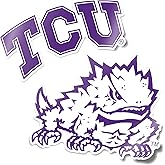 Desert Cactus Texas Christian University TCU Horned Frogs Sticker Vinyl Decal Laptop Water Bottle Car Scrapbook (4 Inch Set V1)
