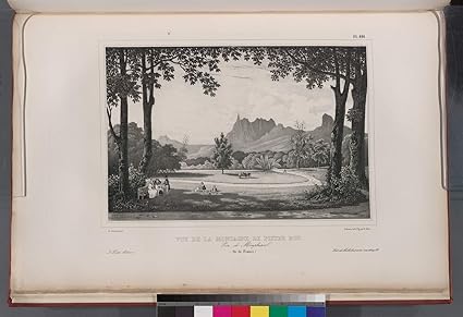 Amazoncom Lithographs Poster Vue De La Montagne De